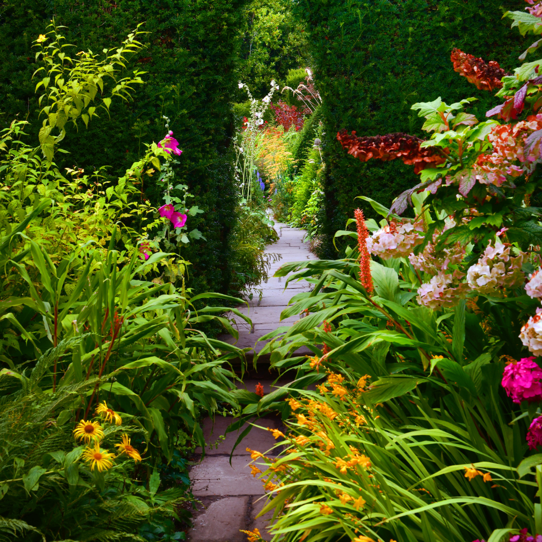 Secret Garden Flowers